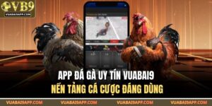 App đá gà uy tín VUABAI9