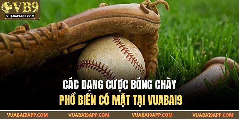 Các dạng cược bóng chày phổ biến có mặt tại VUABAI9