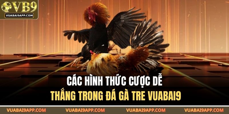 Đá Gà Tre VUABAI9 – Đấu Trường Gay Cấn Từng Khung Hình 3 Các hình thức cược dễ thắng trong đá gà tre VUABAI9