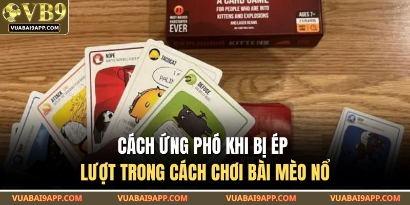 Cách Chơi Bài Mèo Nổ Dễ Hiểu Cho Người Mới Tại VUABAI9 4 Cách ứng phó khi bị ép lượt trong cách chơi bài mèo nổ