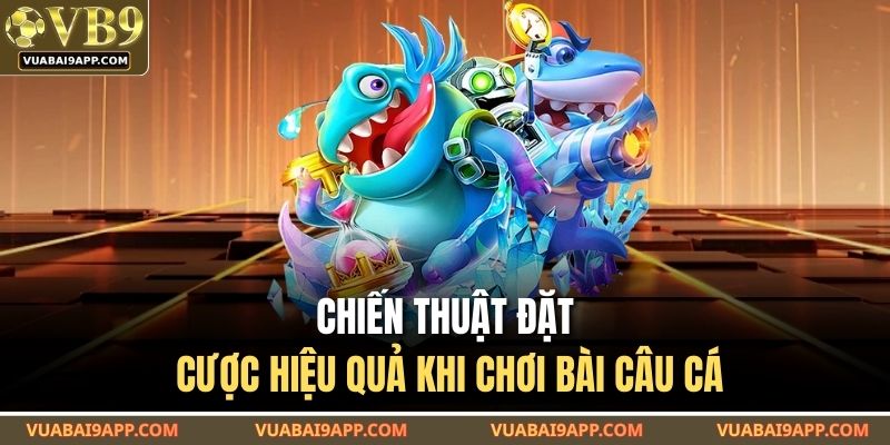 Chiến thuật đặt cược hiệu quả khi chơi bài câu cá