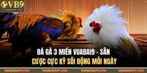 Đá gà 3 miền