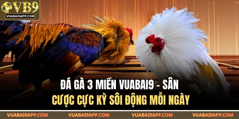 Đá gà 3 miền