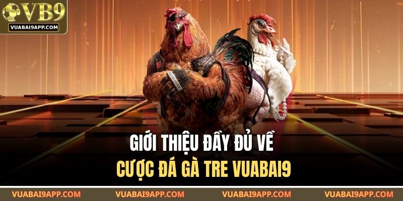 Đá Gà Tre VUABAI9 – Đấu Trường Gay Cấn Từng Khung Hình 2 Giới thiệu đầy đủ về cược đá gà tre VUABAI9