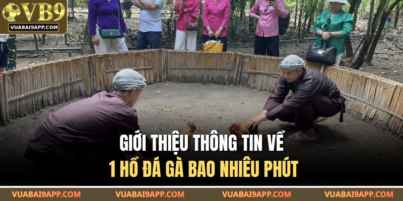 Giới thiệu thông tin về 1 hồ đá gà bao nhiêu phút