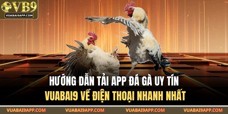 Hướng dẫn tải app đá gà uy tín VUABAI9 về điện thoại nhanh nhất