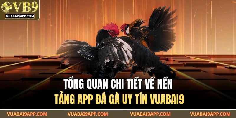 Tổng quan chi tiết về nền tảng app đá gà uy tín VUABAI9