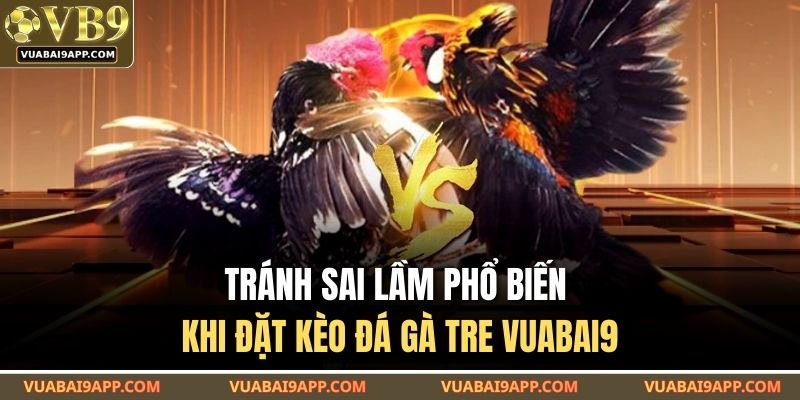 Đá Gà Tre VUABAI9 – Đấu Trường Gay Cấn Từng Khung Hình 4 Tránh sai lầm phổ biến khi đặt kèo đá gà tre VUABAI9